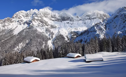 Almenwelt © Salzburger Saalachtal Tourismus / Martin Zehentmayr