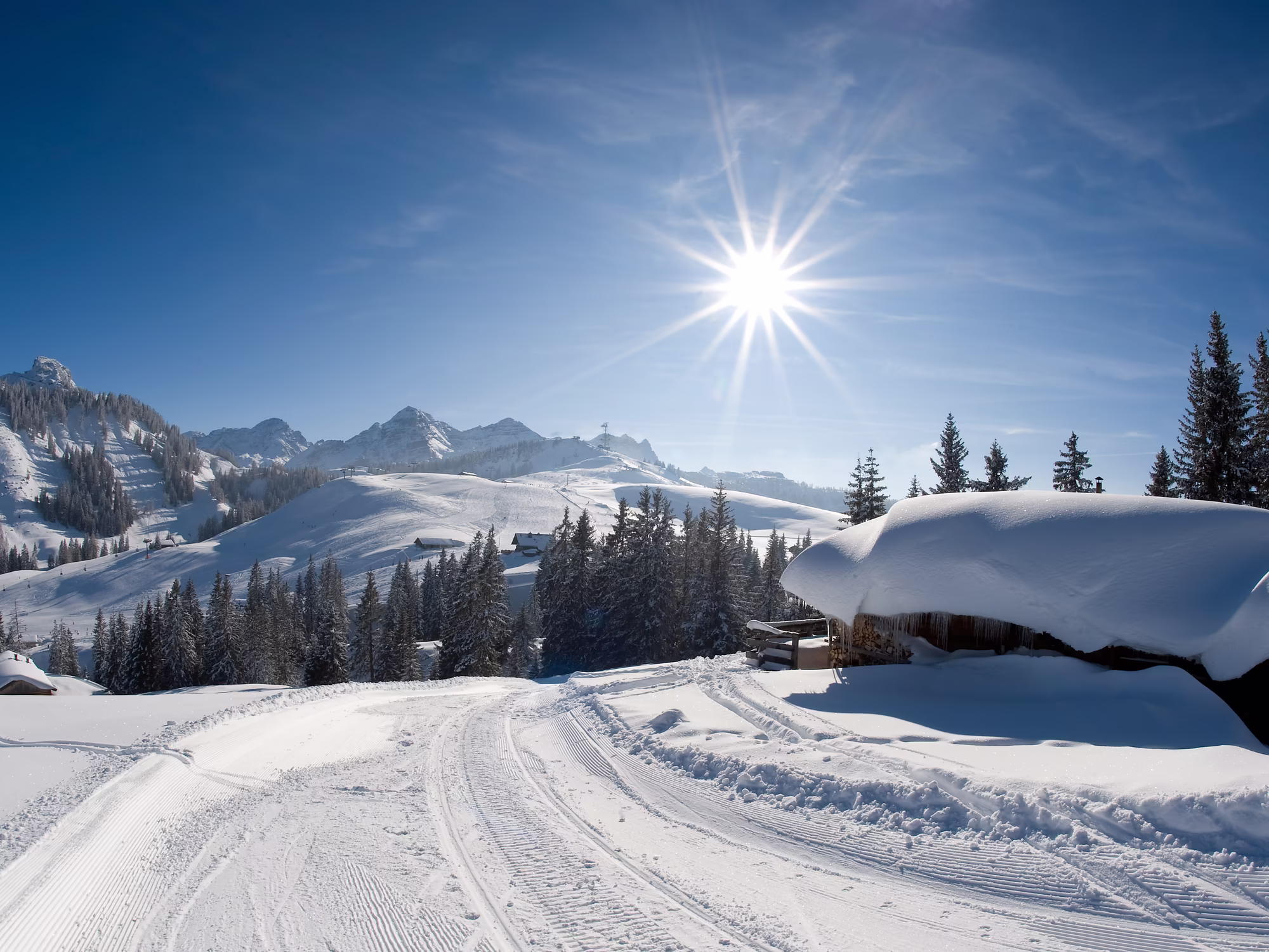 Almenwelt Lofer © Salzburger Saalachtal Tourismus