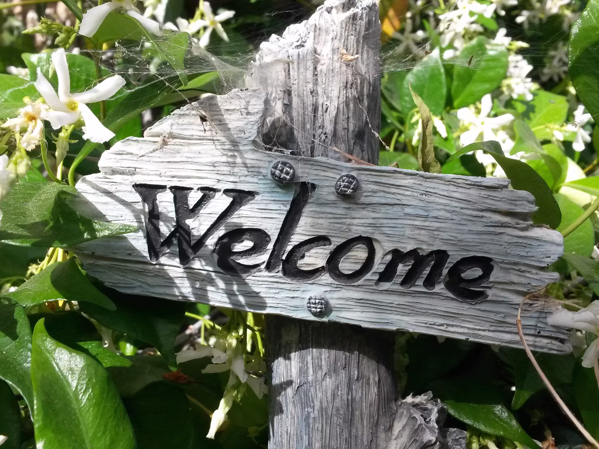 Willkommen © pixabay / rebeck96